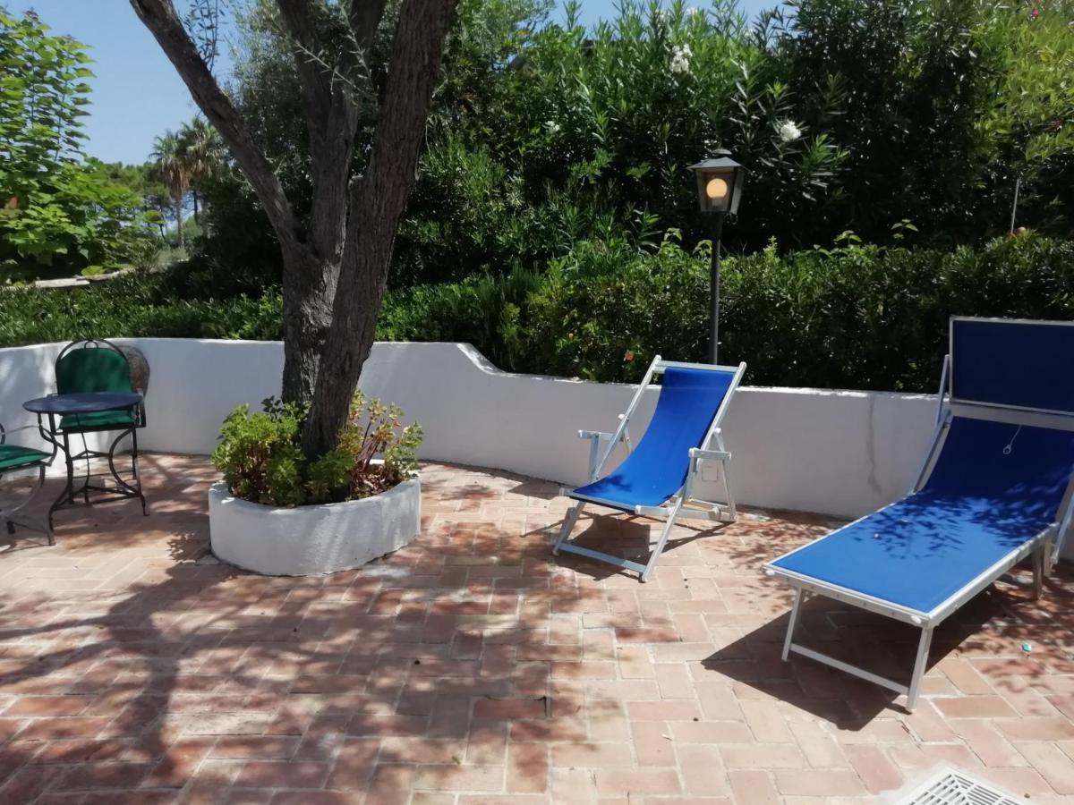 הוילה פרגליה Residenza L 'Ulivo מראה חיצוני תמונה